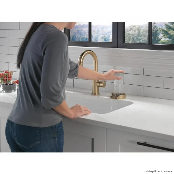 Delta Champagne Bronze GR250-CZ Metal Glass Cleaner Rinser - Image 2