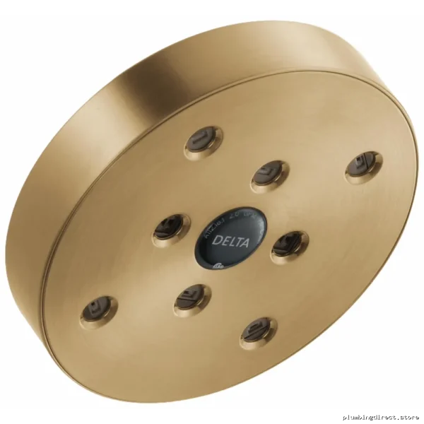 Delta Lumicoat Champagne Bronze 1-Setting H2Okinetic Shower Head RP70175CZPR