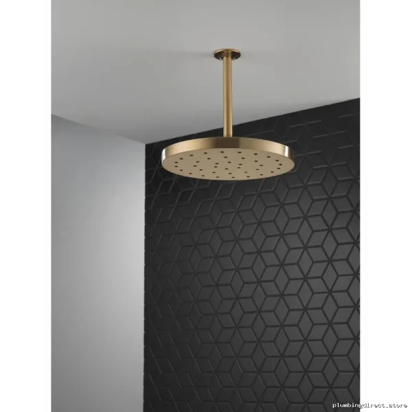 H2Okinetic UltraSoak Lumicoat Champagne Bronze Delta Shower Head