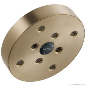Delta High-Efficiency Water-Saving Shower Head - Single-Setting Chrome & Gold