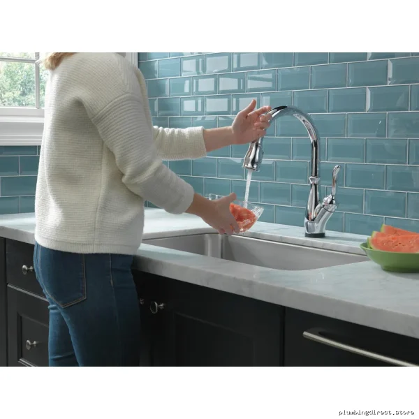 Touchless Delta Leland Faucet - Chrome Kitchen Pulldown