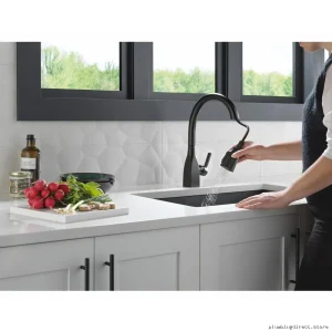 Delta Matte Black Kitchen Faucet with Pull-Down Swivel Spray