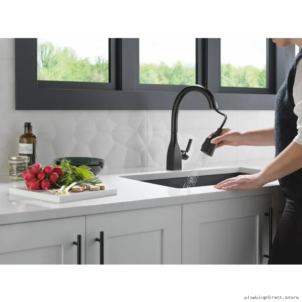 Delta Matte Black Kitchen Faucet with Pull-Down Swivel Spray
