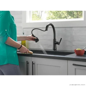 Coranto Matte Black Kitchen Faucet - Pulldown + Spray Shield Design 9179-BL-DST Delta