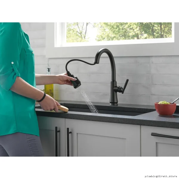 Coranto Matte Black Kitchen Faucet - Pulldown + Spray Shield Design 9179-BL-DST Delta