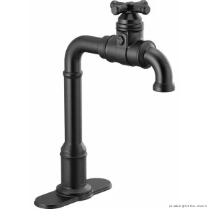 Delta Matte Black Pull-Down Kitchen Prep Faucet – Easy Install