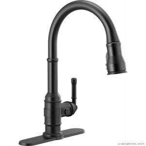 Delta Matte Black Pull-Down Kitchen Faucet with Sprayer 9190-BL-DST