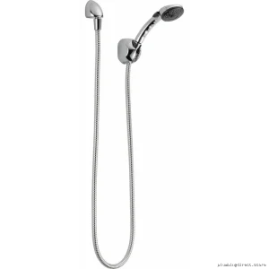 Delta Modern Dual-Spray Chromefinished Fixed Wall-Mounted Hand Shower #59410-B-PK