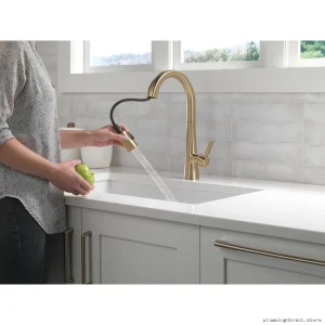 Delta Monrovia Pulldown Kitchen Faucet in Champagne Bronze