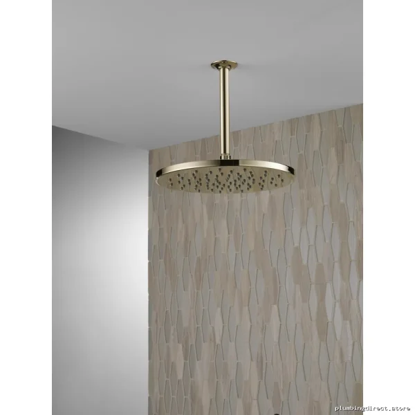Delta Raincan 12 Single-Spray Shower Head in Polished Nickel Finish - Image 2