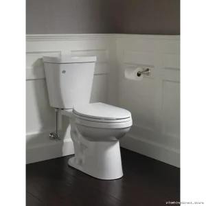 Delta Stainless Steel Toilet Paper Holder - Modern Linden Design 79450-SS