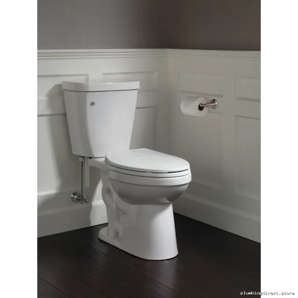 Delta Stainless Steel Toilet Paper Holder - Modern Linden Design 79450-SS