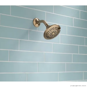 Delta Touch-Clean 5-Mode Spa Shower Head - Champagne Bronze