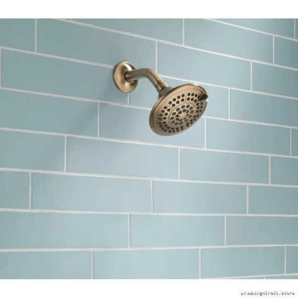 Delta Touch-Clean 5-Mode Spa Shower Head - Champagne Bronze