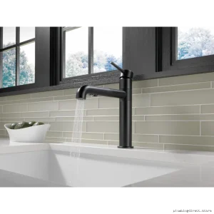 Delta Trinsic Pull-Down Matte Black Kitchen Faucet