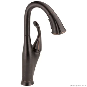 Delta Venetian Bronze Pull-Down Kitchen Faucet with Spray 9992-RB-DST