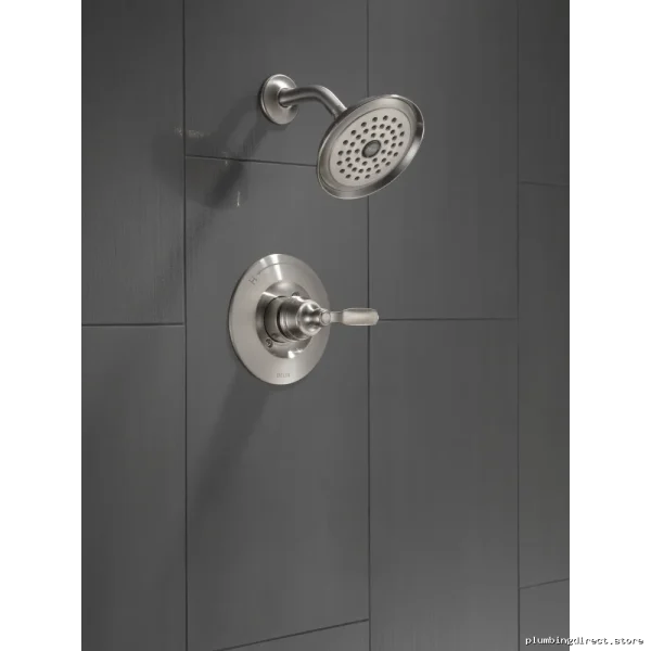 Delta Premium Woodhurst Stainless Steel Shower Trim - Image 2
