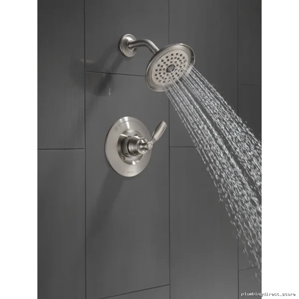 Delta Premium Woodhurst Stainless Steel Shower Trim - Image 3
