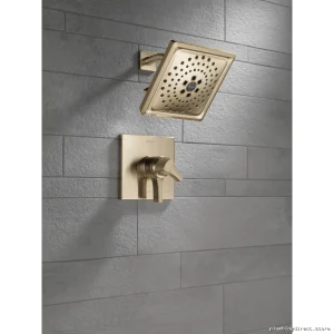Delta Zura 17 Series H2Okinetic Shower Head in Champagne Bronze