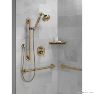 Delta Zura H2Okinetic Handheld Shower - Adjustable High-Pressure 5 Settings in Champagne Bronze