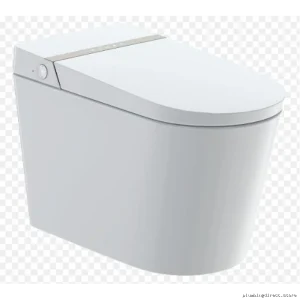 Duval IN6018E White Elongated 1-Piece Dual Flush Bidet Toilet - Smart Design