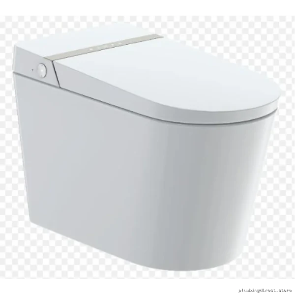 Duval IN6018E White Elongated 1-Piece Dual Flush Bidet Toilet - Smart Design