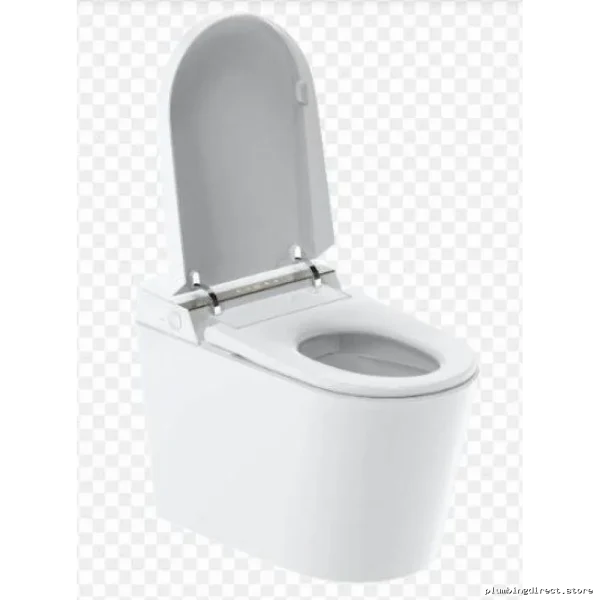 Duval IN6018E White Elongated 1-Piece Dual Flush Bidet Toilet - Smart Design - Image 2
