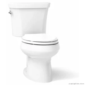 White Elongated Dual Flush Toilet - Wellworth Standard Model #3988-0