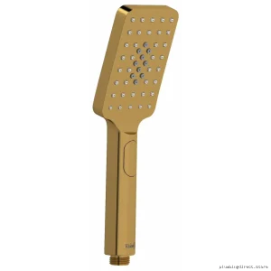 Dual Function Brushed Gold Hand Shower with Easy Switch - RioBel