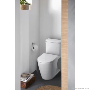 Duravit Tall Elongated 1-Piece Toilet - White