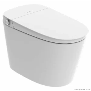 Duval IT1A165ER Modern Tankless Smart Toilet in White