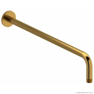 Elegant Brushed Gold Wall Mount Shower Arm with Round Escutcheon - RIOBEL 513BG