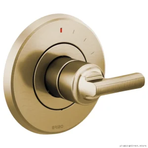 Elegant Gold Pressure Balance Valve Trim - Handleless Design