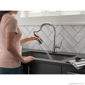 Emmeline Touch-Faucet with Pulldown Spray | Lumicoat Arctic Stainless | Model