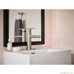 Brushed Nickel Single-Hole Bathroom Faucet w/Escutech-Stainless Resistant