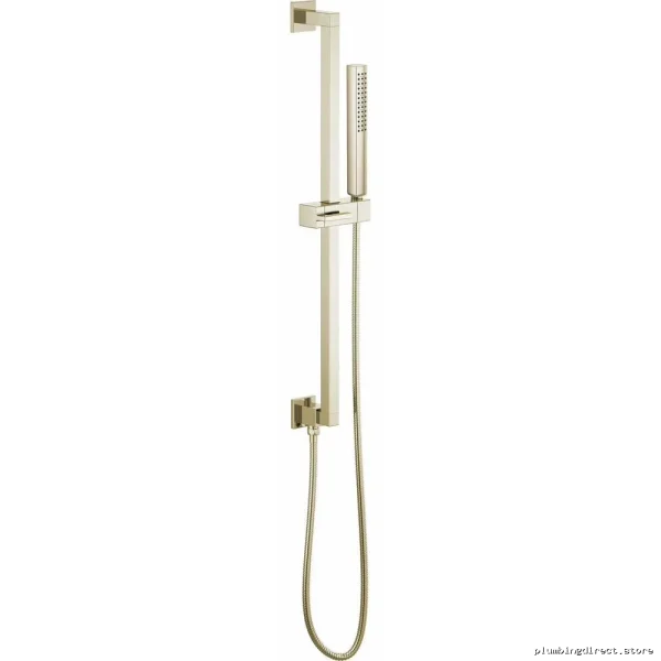 Euro Style Adjustable Shower Bar with Hose - Polished Nickel Brizo