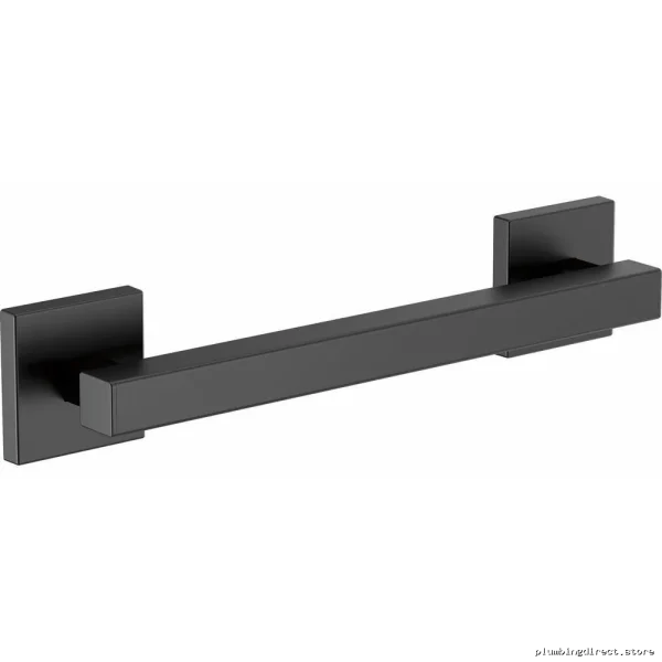Euro Style Bathroom Safety Grab Bar in Matte Black Finish