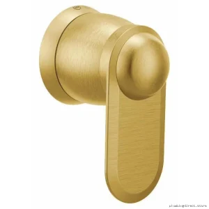 Exact-Temp Brushed Gold Kitchen Faucet Valve Trimmer Vol/Flow Ctrl Moen