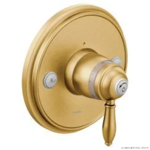 Brushed Gold ExactTemp Valve Trim by Weymouth for Moen Showers