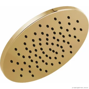 Polished Gold Round Raincan Shower Head by Brizo - Model 81392-PG