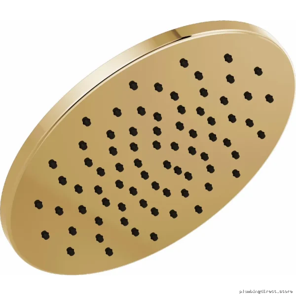 Polished Gold Round Raincan Shower Head by Brizo - Model 81392-PG