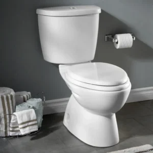 Water-Saving Dual Flush Toilet Tank - White 4035516.020 by Flowise