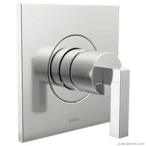 Frank Lloyd Wright Designer Chrome Shower Valve Trim by Brizo