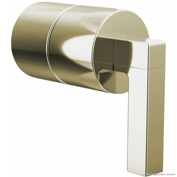 Frank Lloyd Wright Polished Nickel Pressure Balanced Shower Lever - Brizo