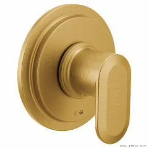 Brushed Gold Transfer Valve Trim For Moen Compatibility – Greenfield UT Series
