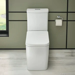 Grohe Eurocube Modern Tall Elongated Toilet & Seat in Alpine White