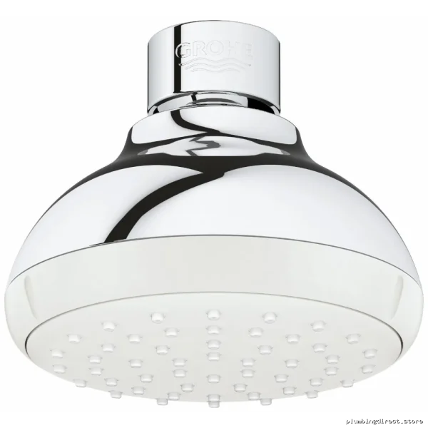 Grohe Tempesta 100 Chrome Single-Spray Shower Head - Image 2