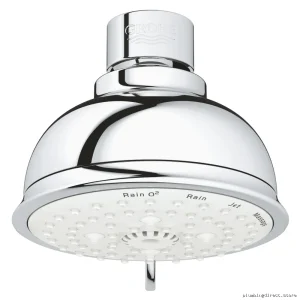 Grohe Tempesta Rustic 100 4-Setting Adjustable Shower Head