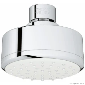 Grohe Tempesta 100 Single-Function Chrome Shower Head - High-Performance Model 26051001