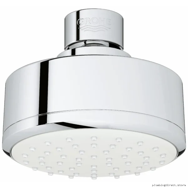 Grohe Tempesta 100 Single-Function Chrome Shower Head - High-Performance Model 26051001